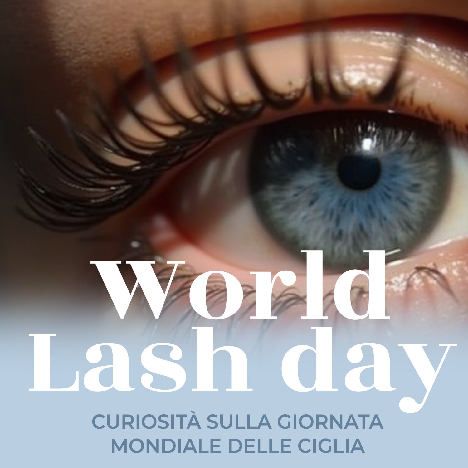 World Lash Day